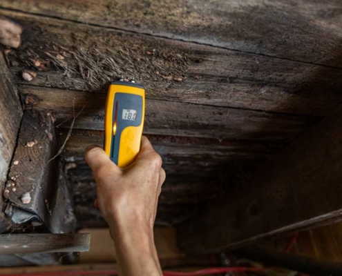 Home Inspection Mold detections